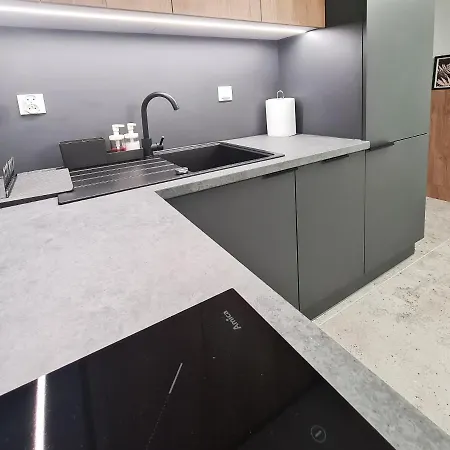 Appartement Irs Royal Irs Nowoczesne Wrzeszcz Gdańsk